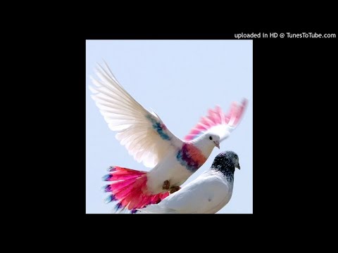 *333* DK9, EL VIRTUAL - PALOMA DE COLOR (PROD. AZAN BLUES) *SHINE TRASH EXCLUSIVE*