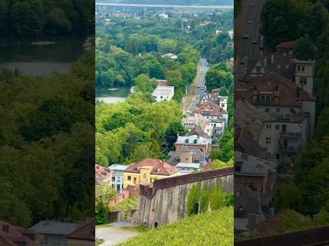 The nature beauty of Germany 🇩🇪 #shortvideo #shorts #nature #germany