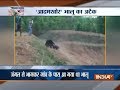 Caught on Camera: Bear attacks man in Odisha