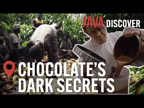 Chocolate's Child Slaves? Secrets of the Chocolate Industry