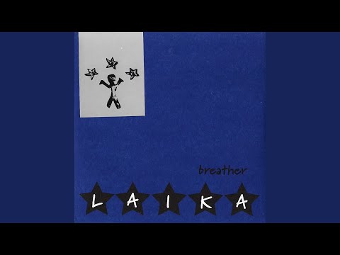 Looking For The Jackalope cover