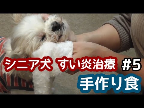 膵炎の食事 – 食べ物とヒント