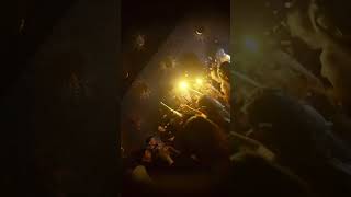 SHOW TIME shokomadrid madrid club madrid fyp