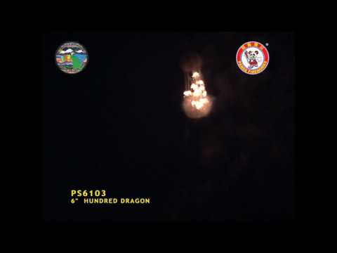 SS150OT06 - 6 INCH SHELL - WIZARD FIREWORKS - PS6103