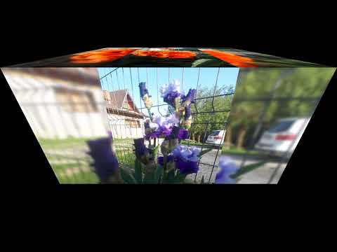 Te aștept privind spre zări senine