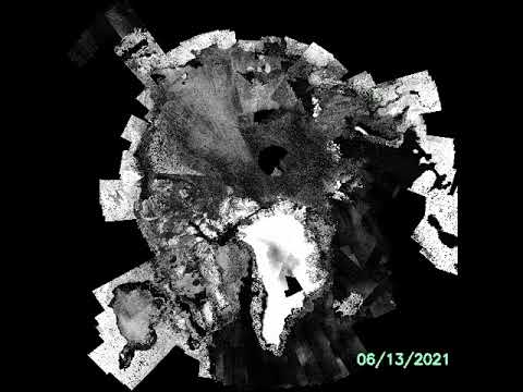 Daily Pan-Arctic sea ice dynamics monitoring using Sentinel-1 SAR images