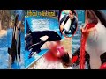 🥹Jessica And Dolphin Jassica Is No More
