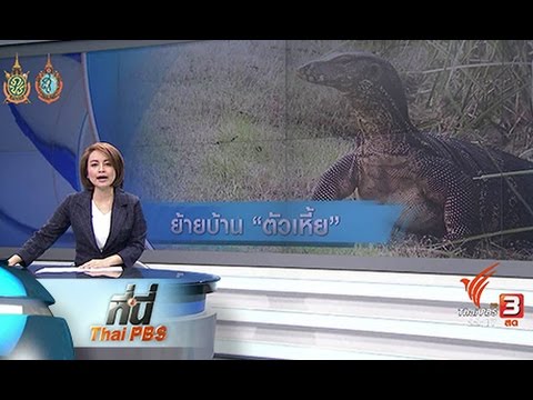เพิ่มขึ้นบทเรียนวิดีโอ Jelqing สมาชิก โยเกิร์ตที่มีความอ่อนแอ