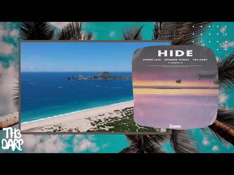 Pierre Leck, Spinner Sunny, TH3 DARP - Hide (ft. Kingsley Q)
