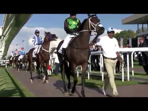 SS BLITS CHAMPS DAY REVIEW