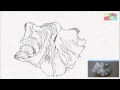 Drawing Exercise 3 Textures