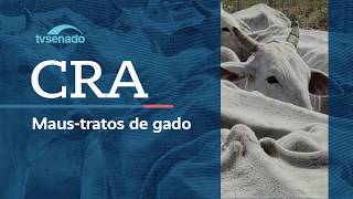 Ao vivo: CRA debate maus-tratos a gado apreendido pelo Ibama – 4/3/26