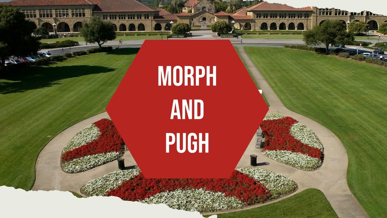 Morphological Analysis and Pugh Concept Selection in 2 minutes