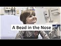A Plastic Bead up the Nose