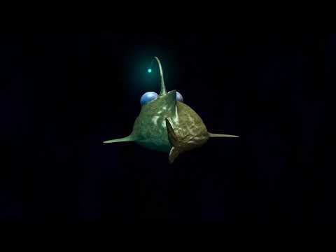 Animated CGI Fish from Glyn Davidson
