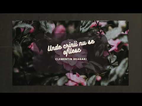 Clementin Bragari - Unde Crinii nu se ofilesc (Audio)