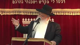 הפלות או רצח | קצרים | הרב דניאל זר