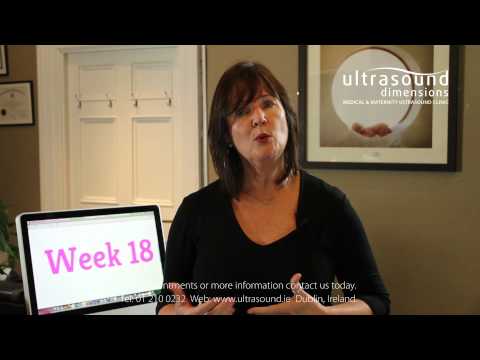 18 Weeks Pregnant - Your 18th Week Of Pregnancy