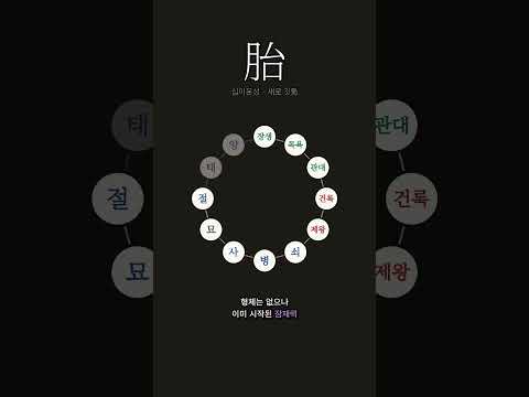 보이지 않는다고 없는 것이 아니다 | 태(胎)