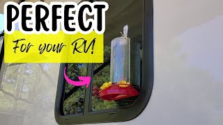 The Best Hummingbird Feeders for RV Travel Enthusiasts 🚐🌺 | Compact & Convenient Solutions!
