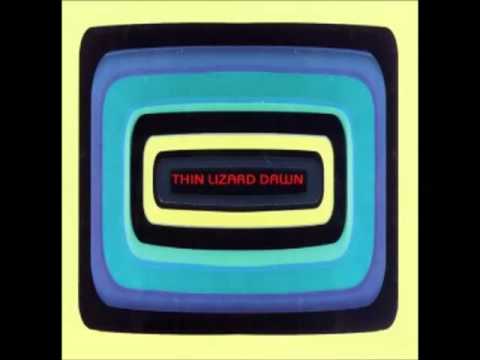Thin Lizard Dawn - Say What You Want