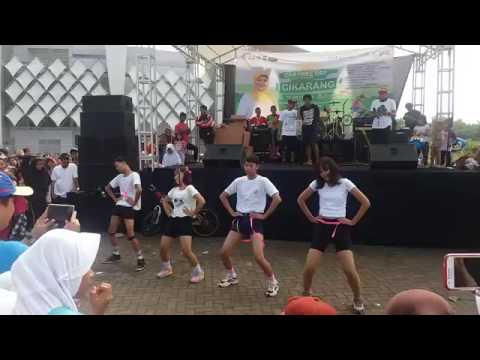 SCARLET - UP & DOWN , AH YEAH , HOT PINK and L.I.E (EXID Dance Cover)161016