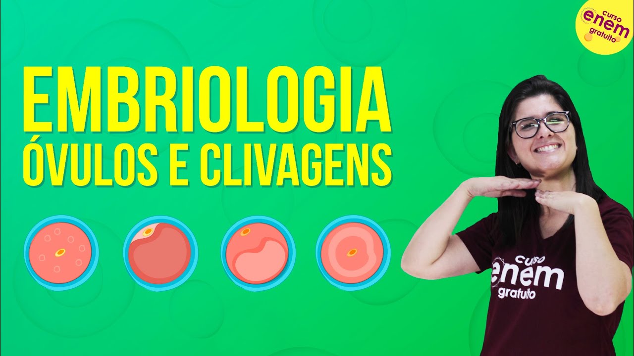 EMBRIOLOGIA: TIPOS DE ÓVULOS E CLIVAGENS | Resumo de Biologia para o Enem