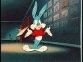Tiny Toons Slideshow