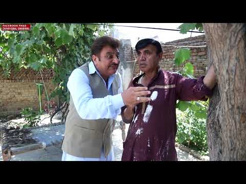 Ramzani Rung Wala / Pakistani Drama / Hameed Babar / Pothwar Plus