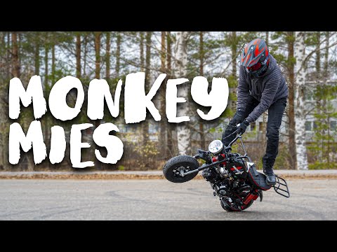 Honda Monkey Z50 -mies - BIISONIMAFIA