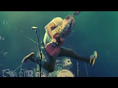 Spermbirds (+Interview),  the Real McKenzies and Fahnenflucht at the Habour Birthday Hamburg.