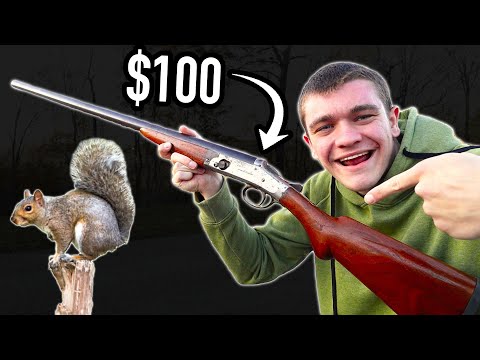 I Hunted Squirrels with a $100 Shotgun!