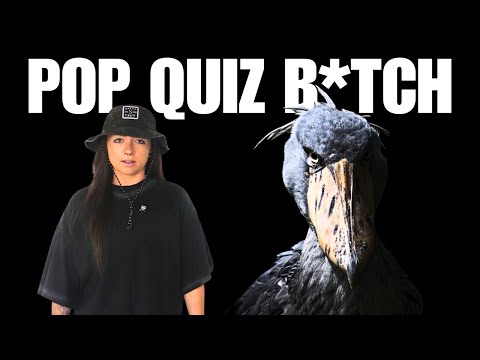 Wir brauchen dringend ein Quiz!