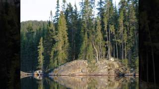 Trouble And Me--Stonewall Jackson