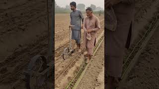 Download lagu wheat cultivation on bed with hand drilling  machine #agricultureinindia #farming #crop #pakistan mp3