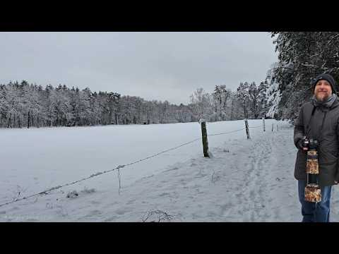 Tierfotografie im Schnee Tag 1
