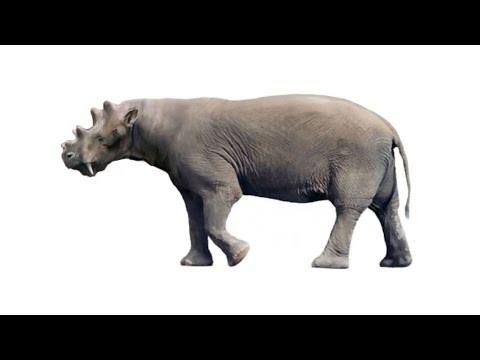 Уинтатерий