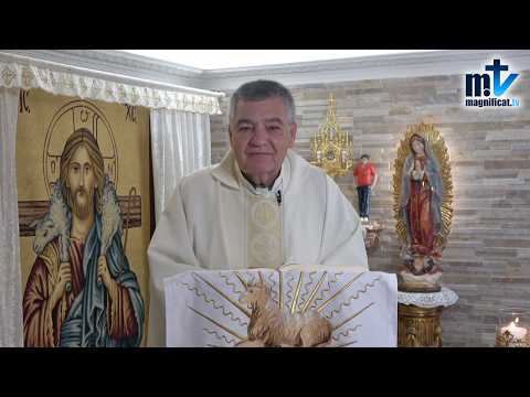 "Teresa de Calcuta: Con Dios y con el Pobre" | Homilía, Santa Teresa de Calcuta (05-09-2026) | P. Santiago Martín, FM