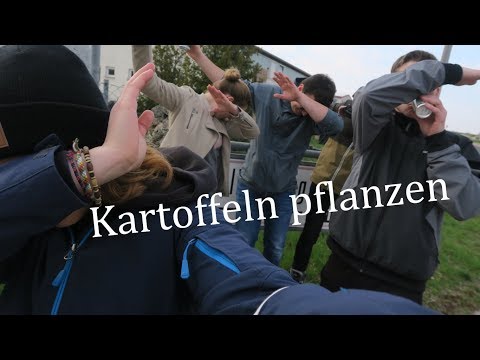 Kartoffeln pflanzen I KW 15 II Muckmade