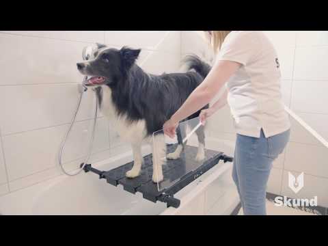 DogShower Anleitung