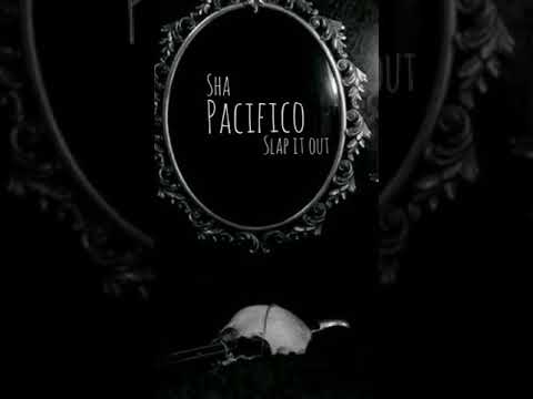 Stand here alone × slap it out - Pacifico (lirik videos)