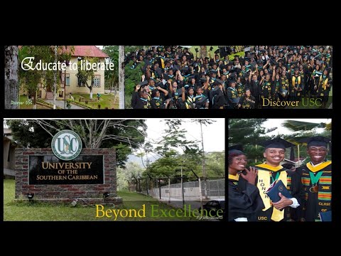 “What Did You See?” - Heather-Dawn Small