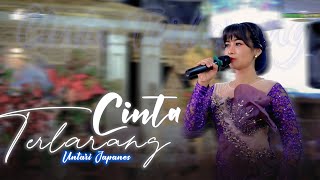 Download lagu CINTA TERLARANG ( ILIR 7 ) Untari Japanes Ft MUSIK 99 SKOB Live Perform - CADAZ AUDIO CLARITY mp3