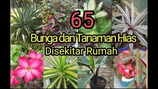 Download lagu Nama-nama Bunga dan Tanaman Hias disekitar rumah... mp3