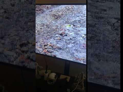 DIY Network - Barnyard Builders