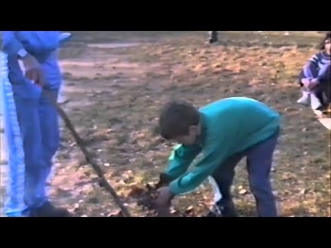 Video Placeholder