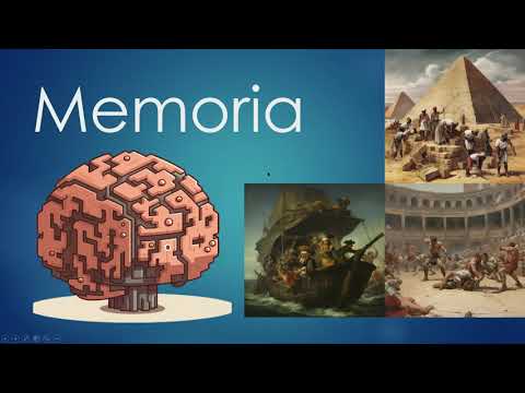 Neuroanatomy and physiology of memory