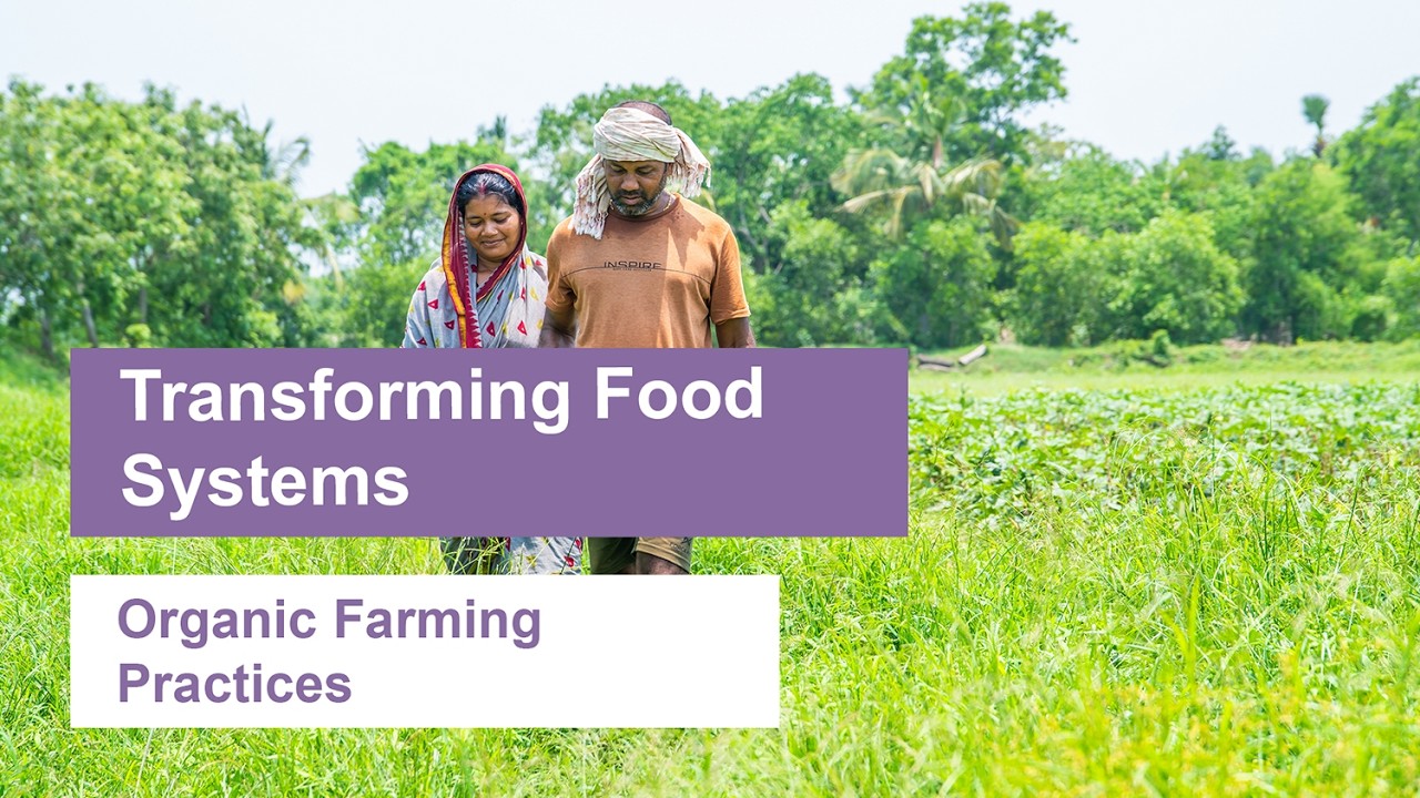 Seeded in Sustainability: Organic Farming Models (in Hindi)