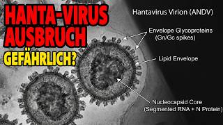 Hanta Virus Ausbruch - Wie gefährlich ist die Situation?