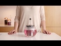 Bodum Assam Tea Press with Stainless Steel Filter | 500ml